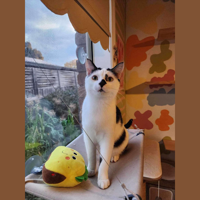 Photo of Charlie