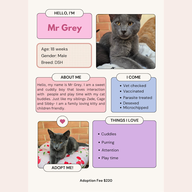 Photo of Mr Grey