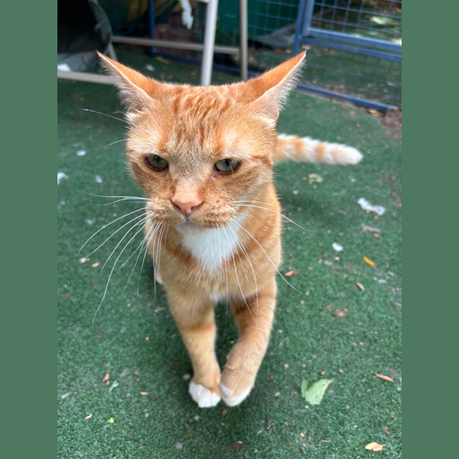 Photo of Boots (And Missy)