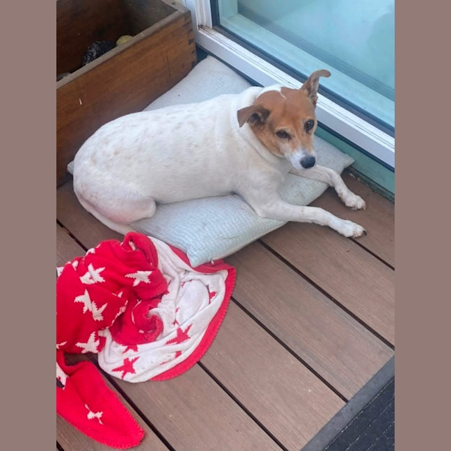 Photo of Max 