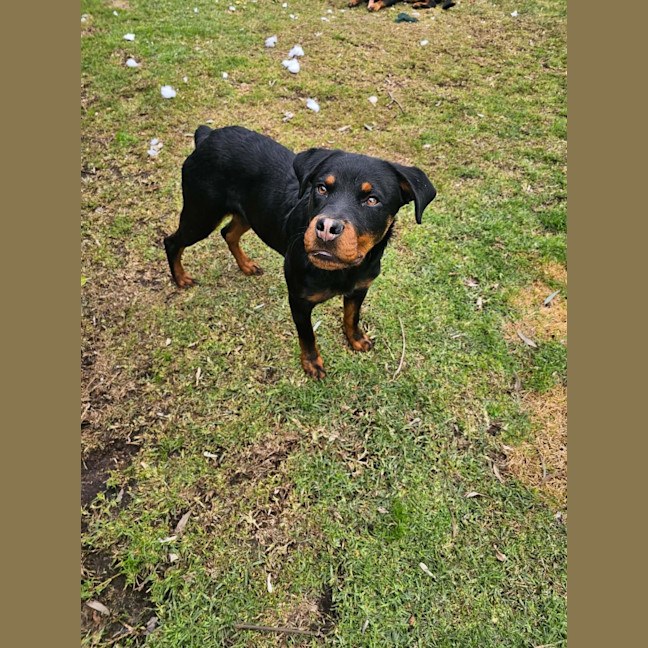 Photo of Bazza