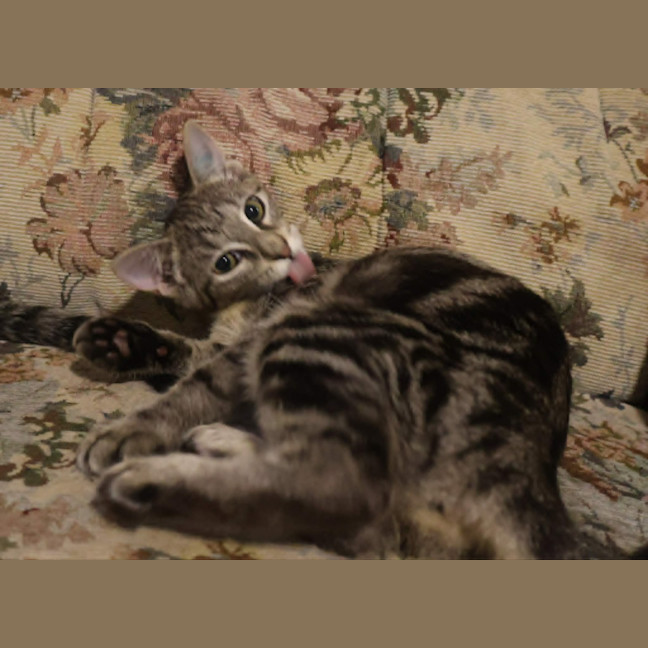 Photo of Emmy