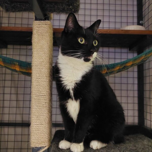 Photo of Annie