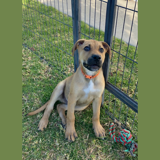 Photo of Michelangelo