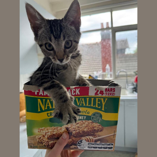 Photo of Liza   Located In Armadale