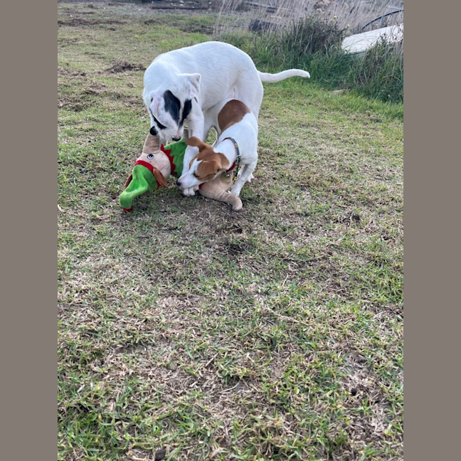 Photo of Tia Leighdara