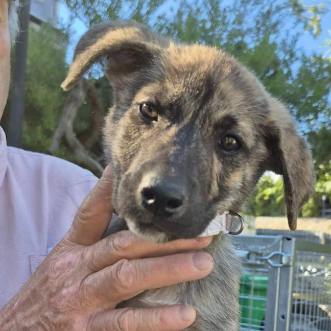 Photo of Missy Cooper