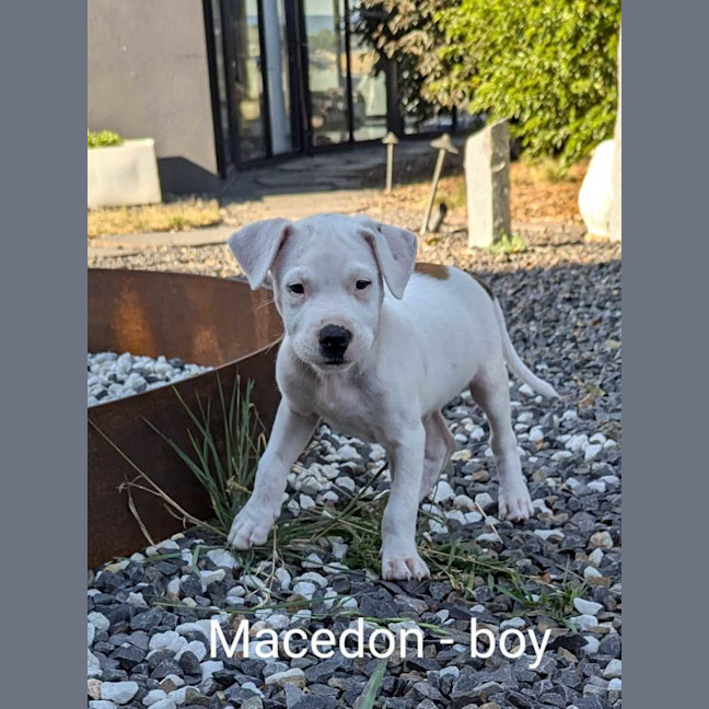 Photo of The Ranges Litter (Part 2)