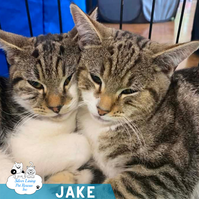 Photo of Jake