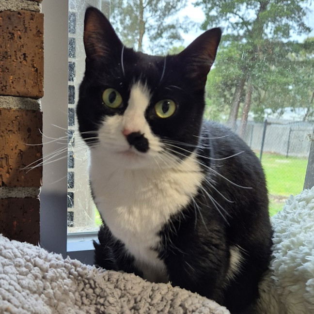 Photo of Kiki