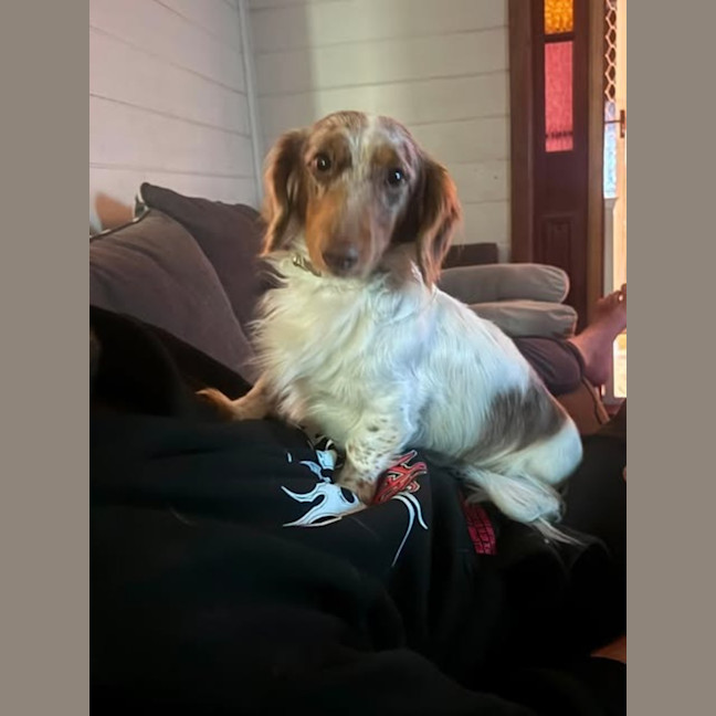 Photo of Willy