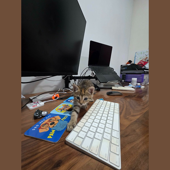 Photo of Michi