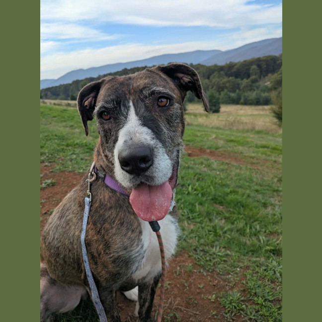 Photo of Laylah