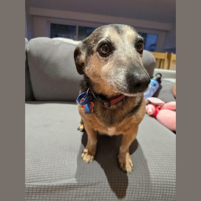 Photo of Barney Lozano