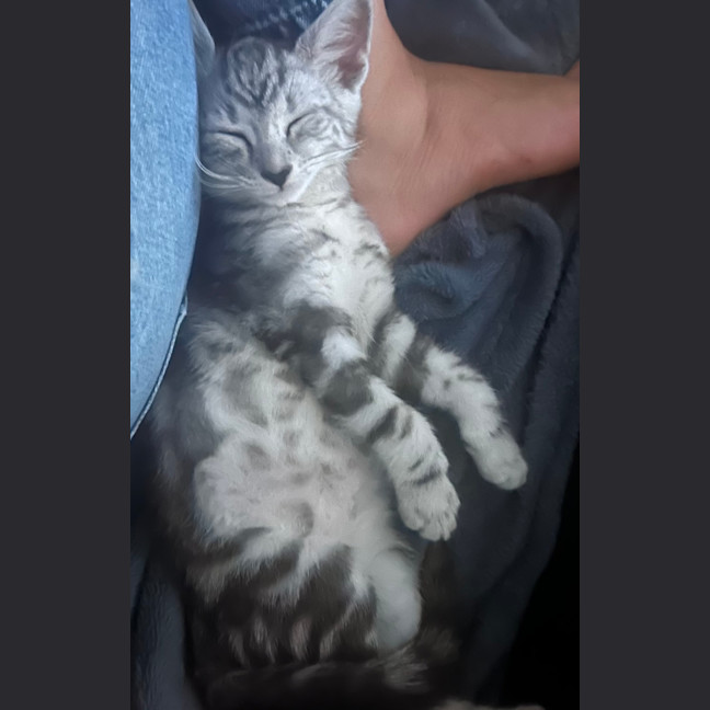 Photo of Bingo