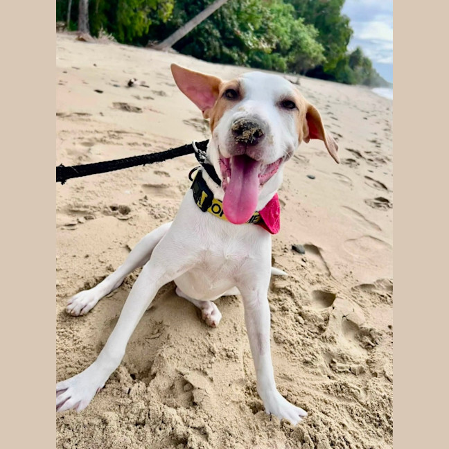 Photo of Millie
