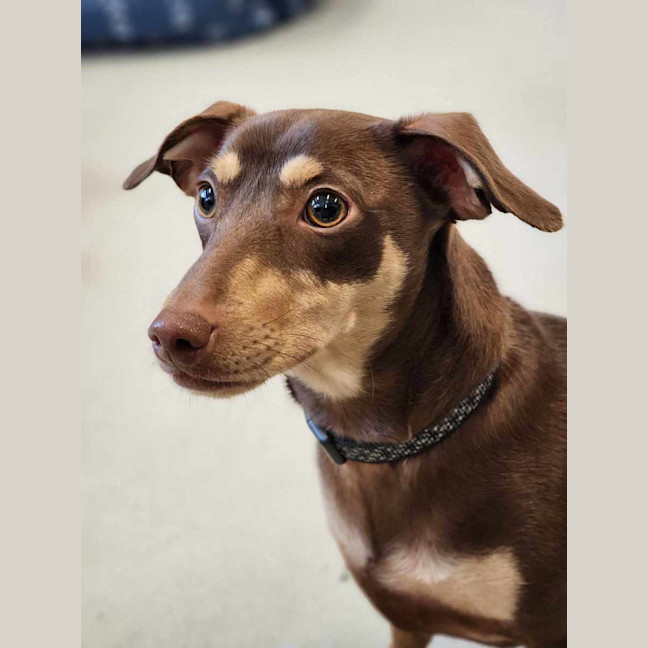 Photo of 🥨 Hilde 5390 🥨