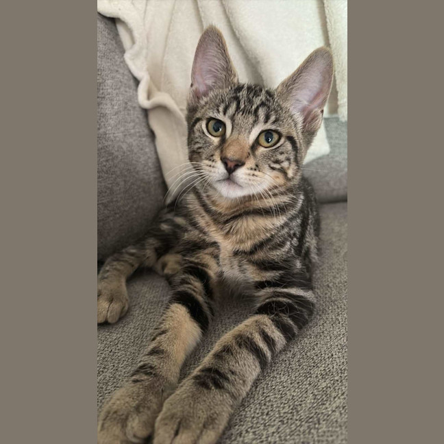 Photo of Peter & Griffin 