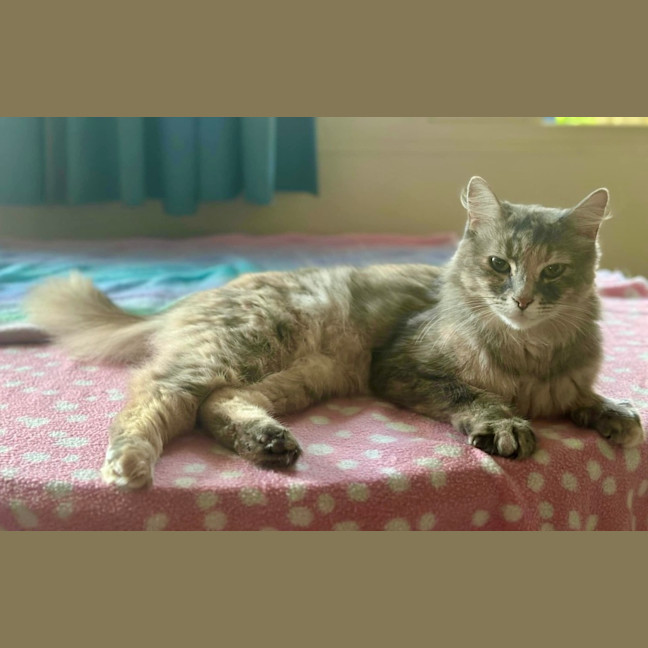 Photo of Astrid