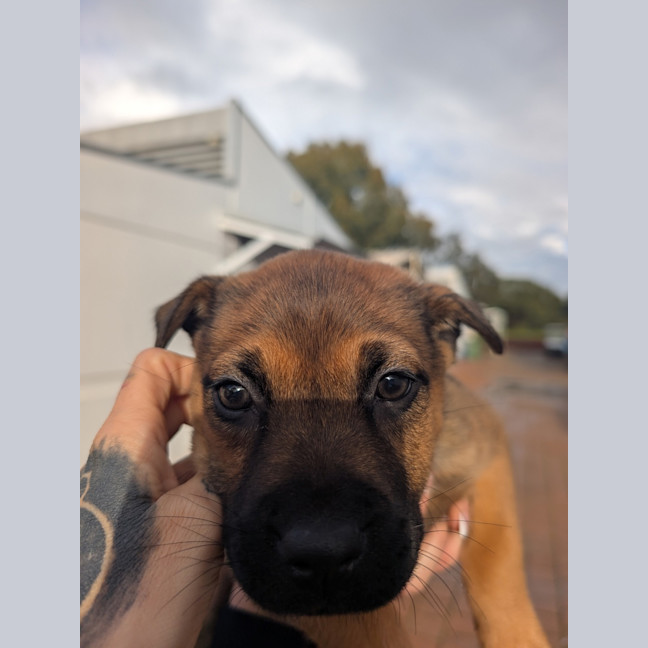 Photo of Charlie