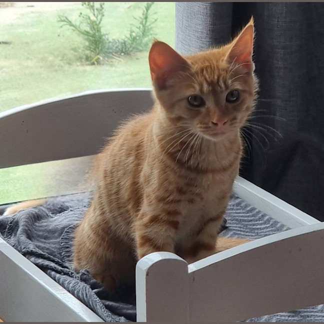 Photo of Hamish