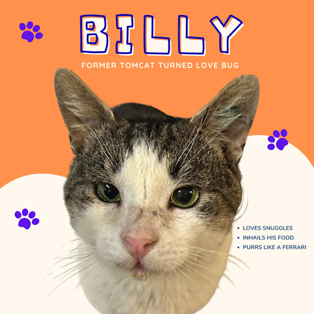 Photo of Billy