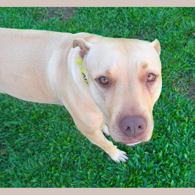 Photo of Sheila