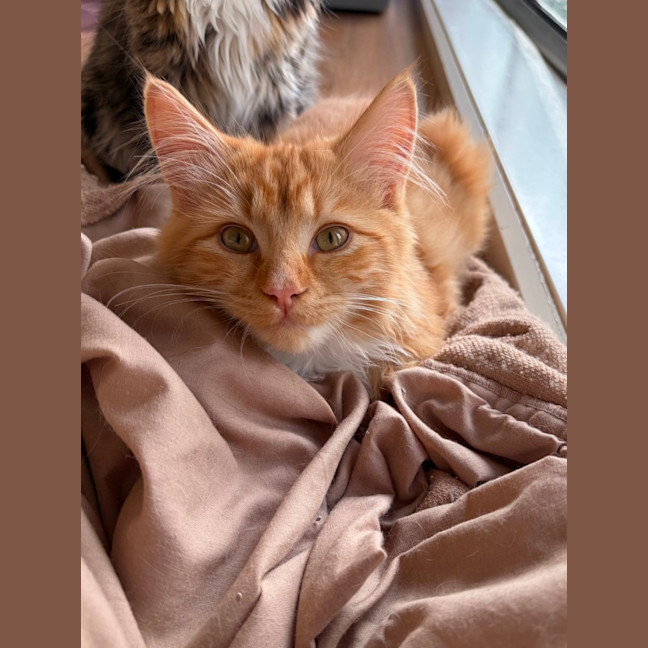 Photo of Lenny