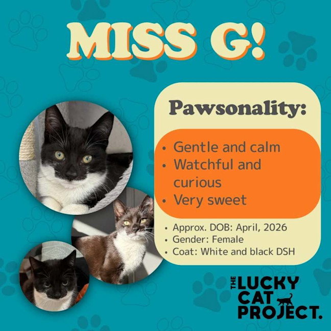 Photo of Miss G