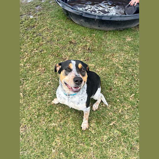 Photo of Dottie