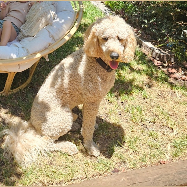 Photo of Mo