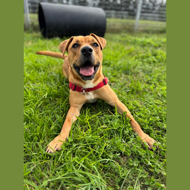 Photo of Arlo