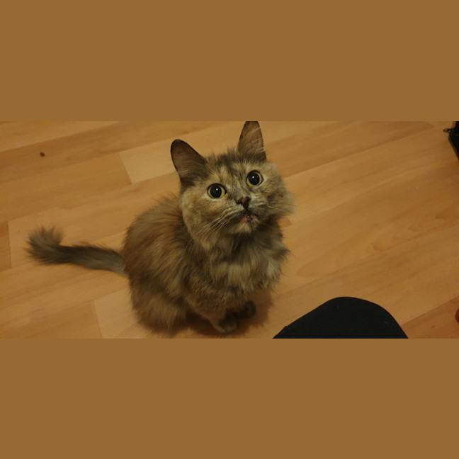Photo of Bubbles