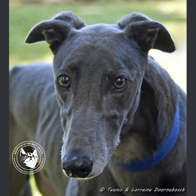 Photo of Froggy (Poppy Ed)