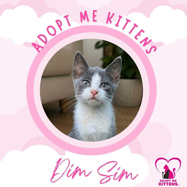Photo of Dim Sim