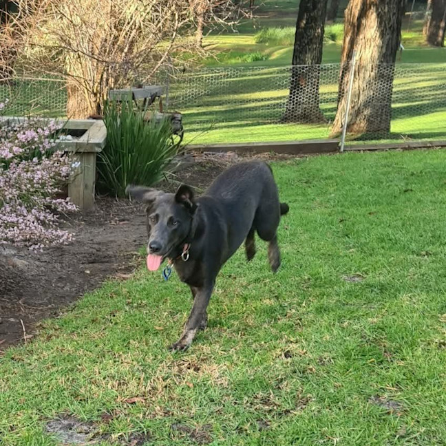 Photo of Tilly