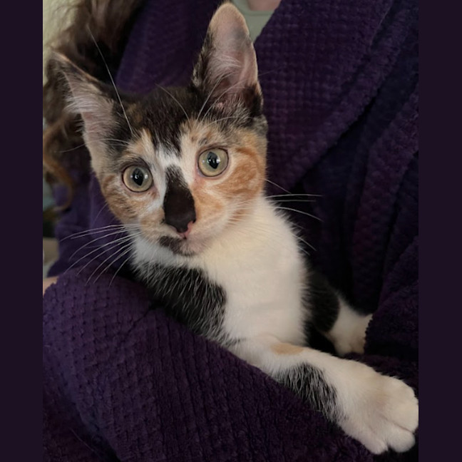 Photo of Lottie & Cindy 🌺🌺