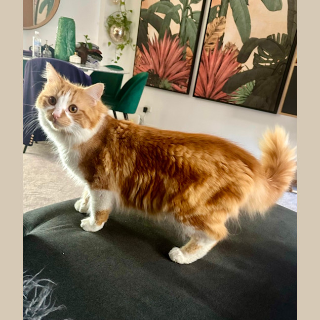 Photo of Jinji