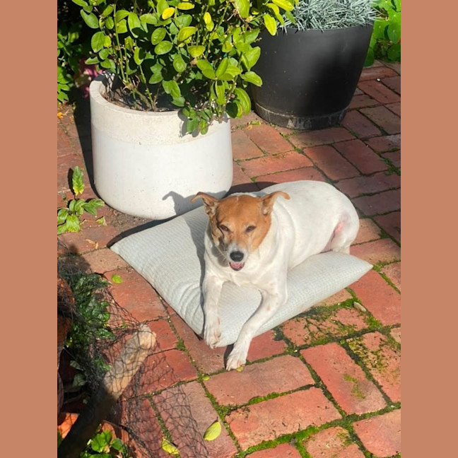 Photo of Max 
