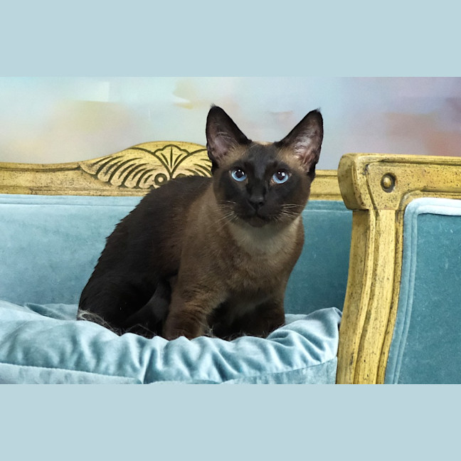 Photo of Skadi And Freya