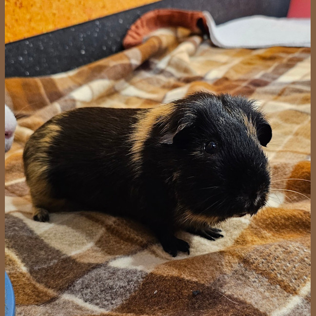 Photo of Freddy