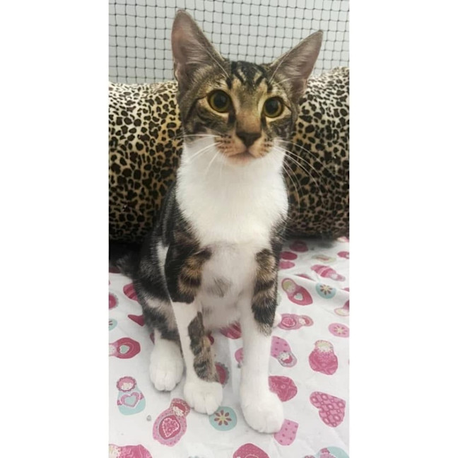 Photo of 11790   Sunshine