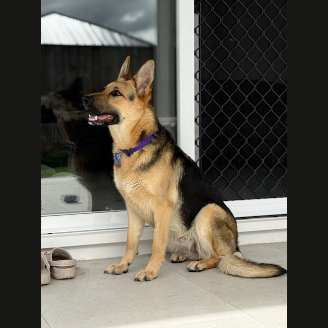 Photo of Darla