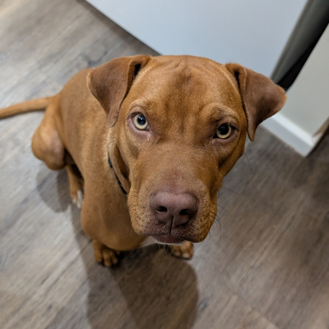 Photo of Tess