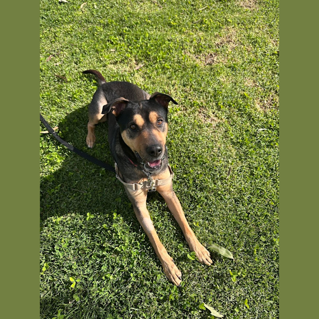 Photo of Tex 