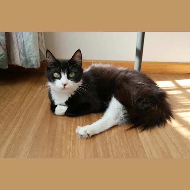 Photo of Michi