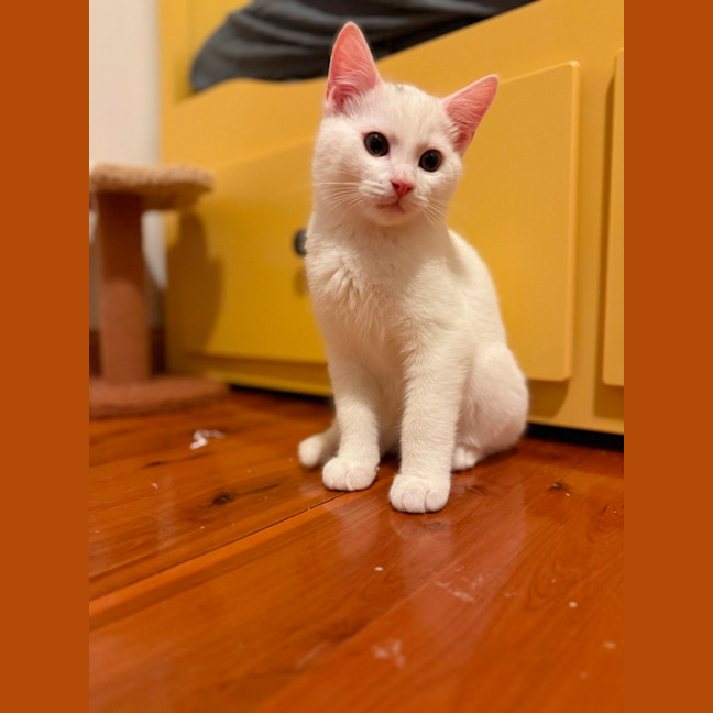 Photo of Evacuation Plan