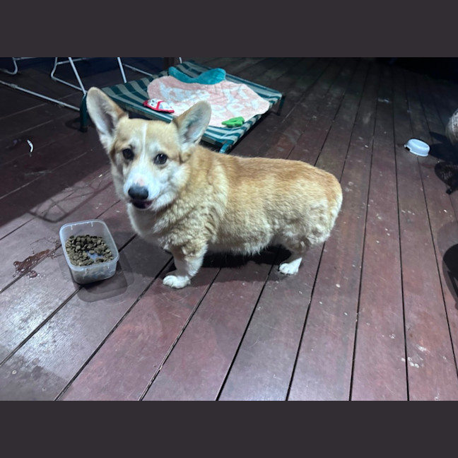 Photo of Bobby