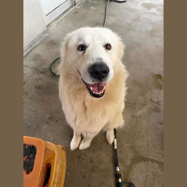 Photo of Handsome