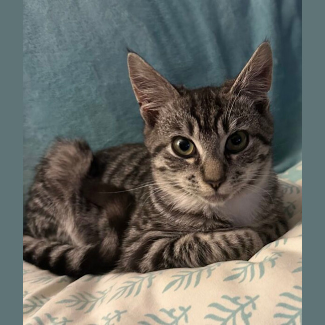 Photo of Peter And Brock